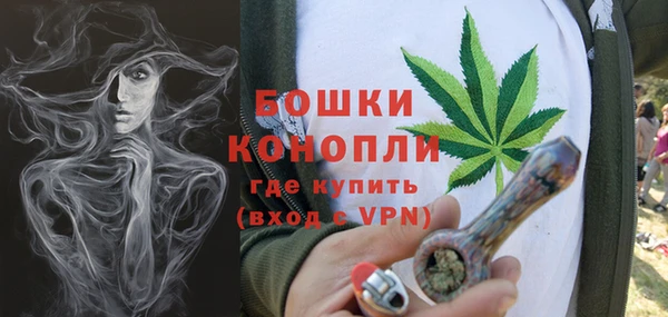 бошки Каменногорск