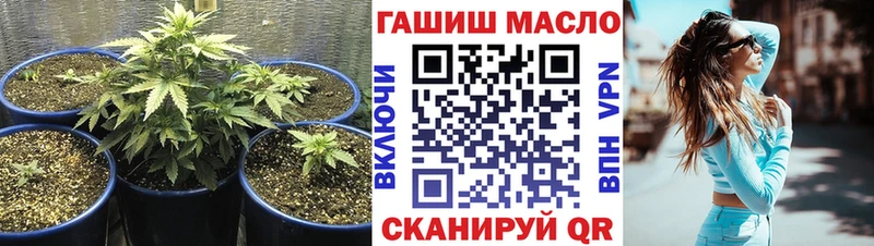 Дистиллят ТГК концентрат  Купить закладки  Данков 