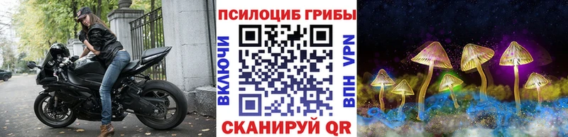 Купить закладки  Данков  Галлюциногенные грибы Magic Shrooms 